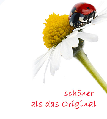 Auf den Punkt gebracht.